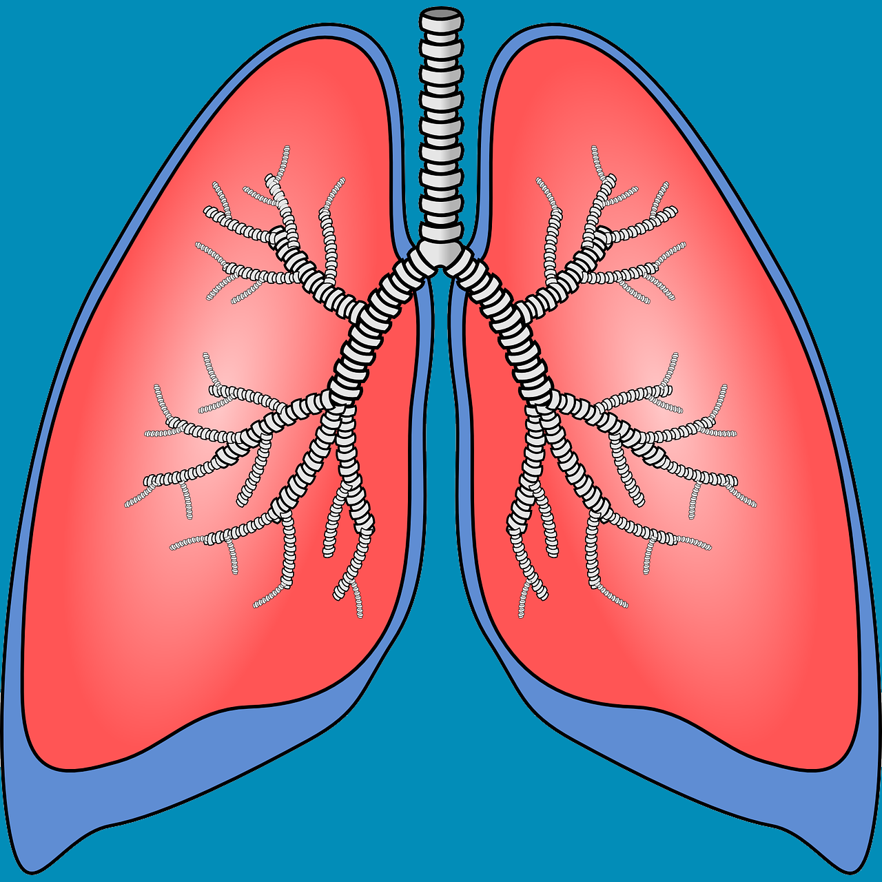 Pneumologia