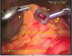 Figura 3